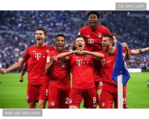 德甲俱乐部青训体系评估报告发布，拜仁青训营产出效率居首